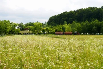 삿포로 맥주 홋카이도 공장 여행 추천 - 메고지고