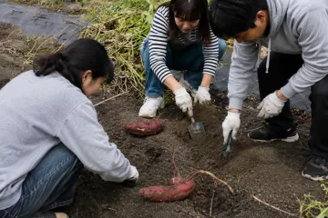 노세 묘켄산 (정식 명칭:무루산 마사요지 경외 불당 노세 묘켄산) 여행 추천 - 메고지고