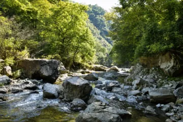 섭진 협화의 마을 온천(산수관) 여행 추천 - 메고지고