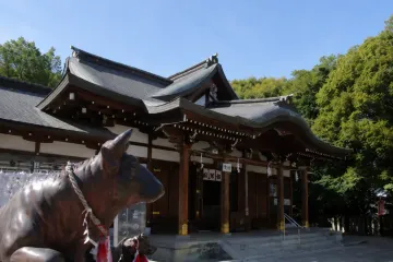 오우기야마 호운젠지(호운사) 여행 추천 - 메고지고