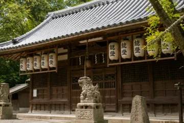 츠보이 하치만구 여행 추천 - 메고지고