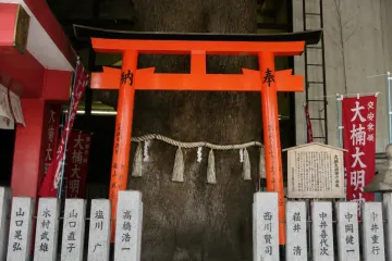마무네 오타니파 광명산 겐토쿠지 여행 추천 - 메고지고
