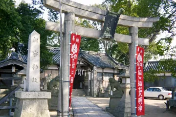 심일 어항 어시장 여행 추천 - 메고지고