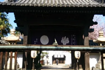 오사카 난마 조각 여행 추천 - 메고지고