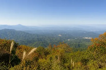 요시미네데라 사원 여행 추천 - 메고지고