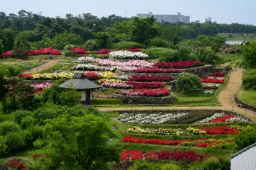 오토리 타이샤 여행 추천 - 메고지고