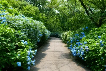 오사카 부민의 숲 (누카타 공원) 여행 추천 - 메고지고