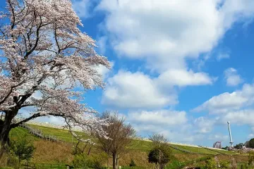 하치코쿠야마 산 녹지 여행 추천 - 메고지고