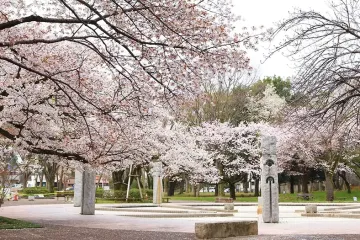 나카무라 겐이치 기념 고가네이시립 하케노모리 미술관 여행 추천 - 메고지고