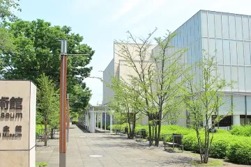 센겐야마 산 공원 여행 추천 - 메고지고