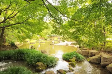 센겐야마 산 공원 여행 추천 - 메고지고