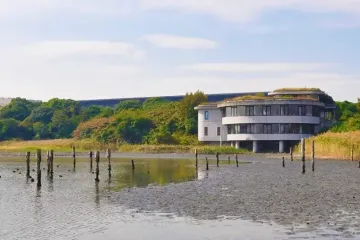 (도)오이 부두중앙해변공원 （都）大井ふ頭中央海浜公園 여행 추천 - 메고지고