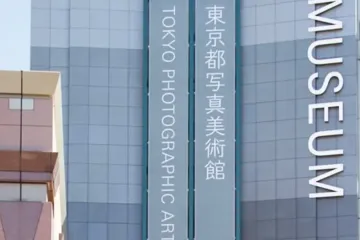 에비스요코초 여행 추천 - 메고지고