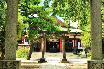 O미술관 O美術館 여행 추천 - 메고지고