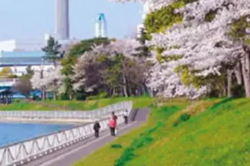 (도)오이 부두중앙해변공원 （都）大井ふ頭中央海浜公園 여행 추천 - 메고지고