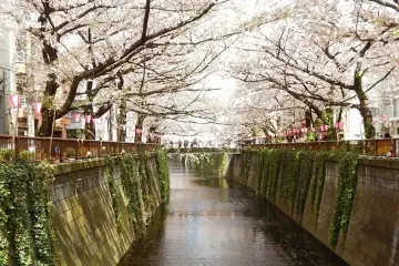 Hillside Terrace 여행 추천 - 메고지고