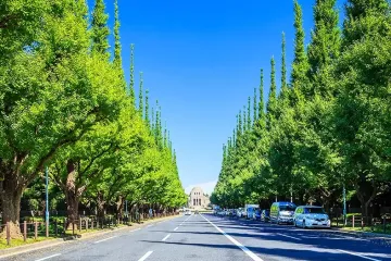 TEPIA 첨단기술관 TEPIA先端技術館 여행 추천 - 메고지고