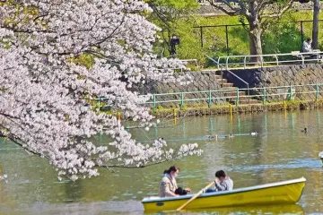 무사시노 중앙공원 여행 추천 - 메고지고