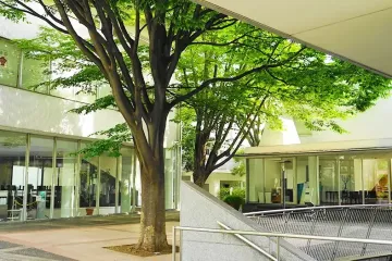 메구로가와 강 여행 추천 - 메고지고