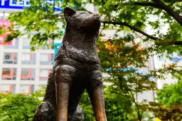 시부야 스크램블 교차로 여행 추천 - 메고지고