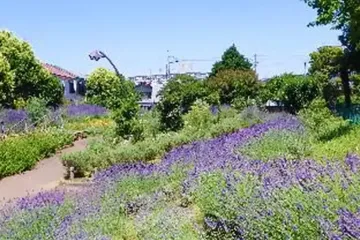 교센 공원 여행 추천 - 메고지고
