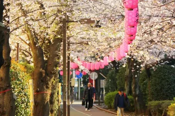 가메이도 중앙공원 여행 추천 - 메고지고