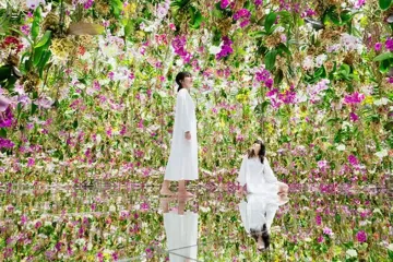 도요스 센캬쿠반라이 여행 추천 - 메고지고