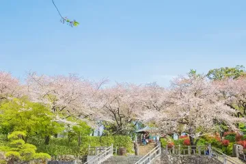 시부사와 사료관 여행 추천 - 메고지고