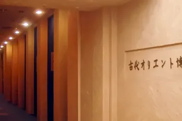선샤인 수족관 여행 추천 - 메고지고