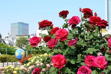 호텔 기잔칸 여행 추천 - 메고지고