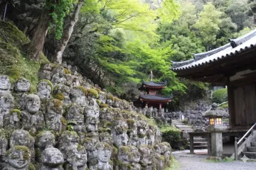 진고지 절 여행 추천 - 메고지고