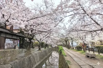 교토 국립 영빈관 여행 추천 - 메고지고