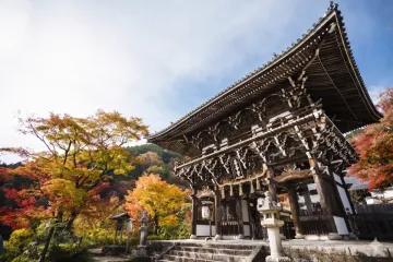【휴지중】가시다 목욕탕(타카츠키 삼림 관광 센터) 여행 추천 - 메고지고