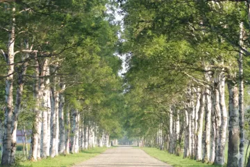 간다 니쇼 기념미술관 여행 추천 - 메고지고