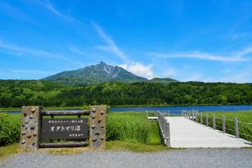 센포시 미사키 공원 여행 추천 - 메고지고