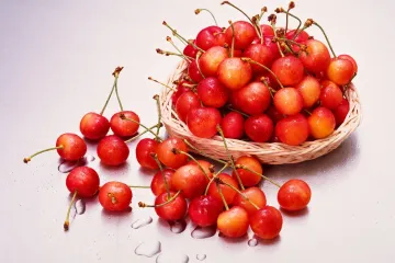 니토리 관광 과수원（구 야마모토 관광 과수원） 여행 추천 - 메고지고