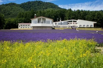 오하시 체리 농원 여행 추천 - 메고지고