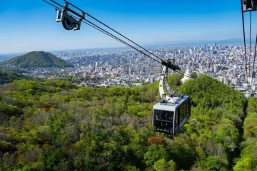 텐진야마 공원 ‘텐진 등나무’ 여행 추천 - 메고지고