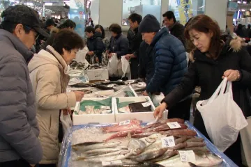 아이레후 홀 여행 추천 - 메고지고