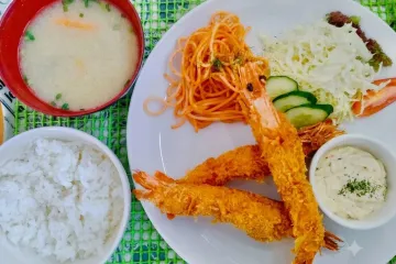 콩 버섯 여행 추천 - 메고지고
