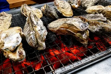 치로모노야도 (합동회사 쓰시마비토) 여행 추천 - 메고지고