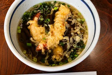 료라산(타테라야마) 원시림 여행 추천 - 메고지고