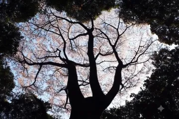 후쿠요시 후레아이 교류 센터 후쿠후쿠노사토 여행 추천 - 메고지고