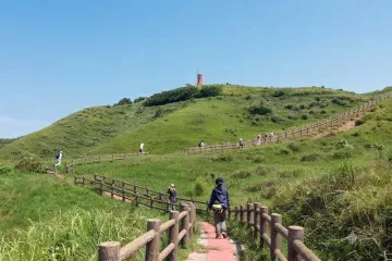 무나카타대신사 오키쓰미야 여행 추천 - 메고지고
