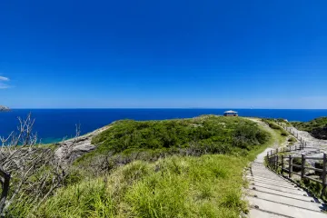 아마 비치 여행 추천 - 메고지고