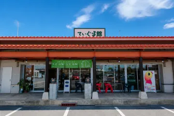 MAJUN OKINAWA 이어스 오키나와 토요사키점 여행 추천 - 메고지고