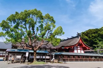 진코쿠지 (鎮国寺/진국사) 여행 추천 - 메고지고