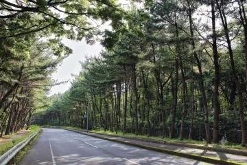 노코노시마 여행 추천 - 메고지고