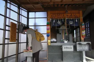 오토 사쿠라 가도 하나공원 여행 추천 - 메고지고