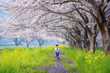 미와 센베이 여행 추천 - 메고지고